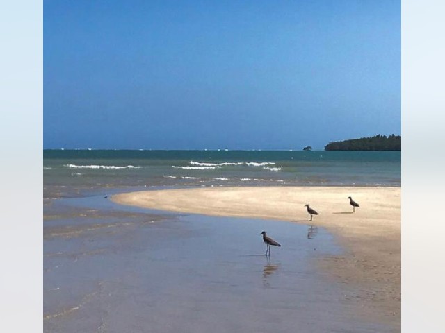 Brasilien zum verkauf in Bahia, Morro de Sao Paulo