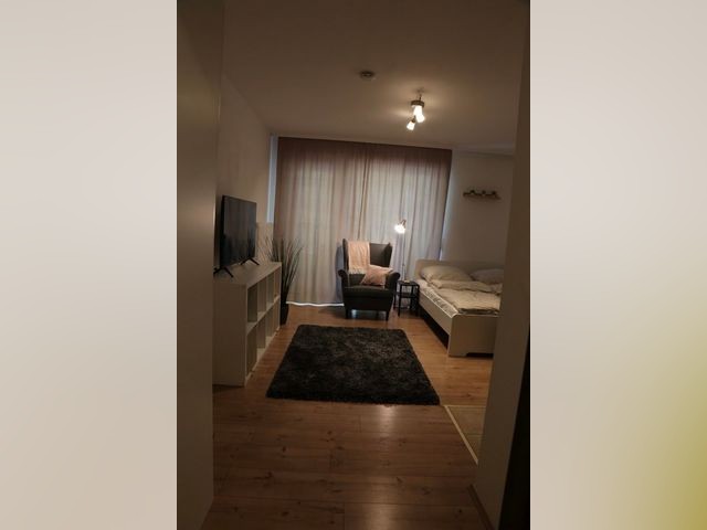 Mannheim Apartment for rent