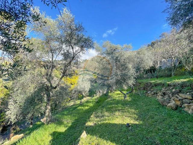 Italien zum verkauf in Liguria, Bordighera